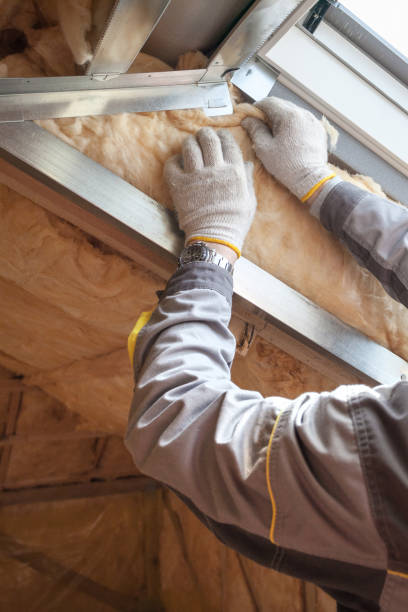 Best Commercial Insulation in Lutcher, LA